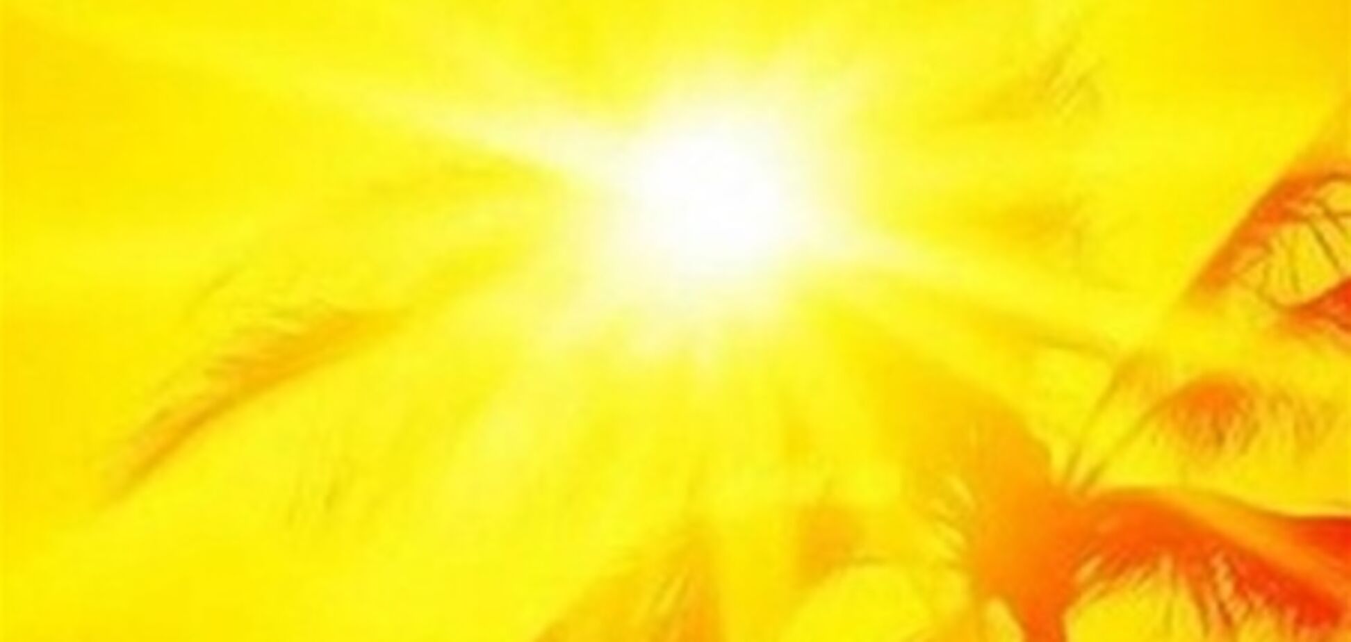 Италия готовится к аномальной жаре: максимальный уровень опасности