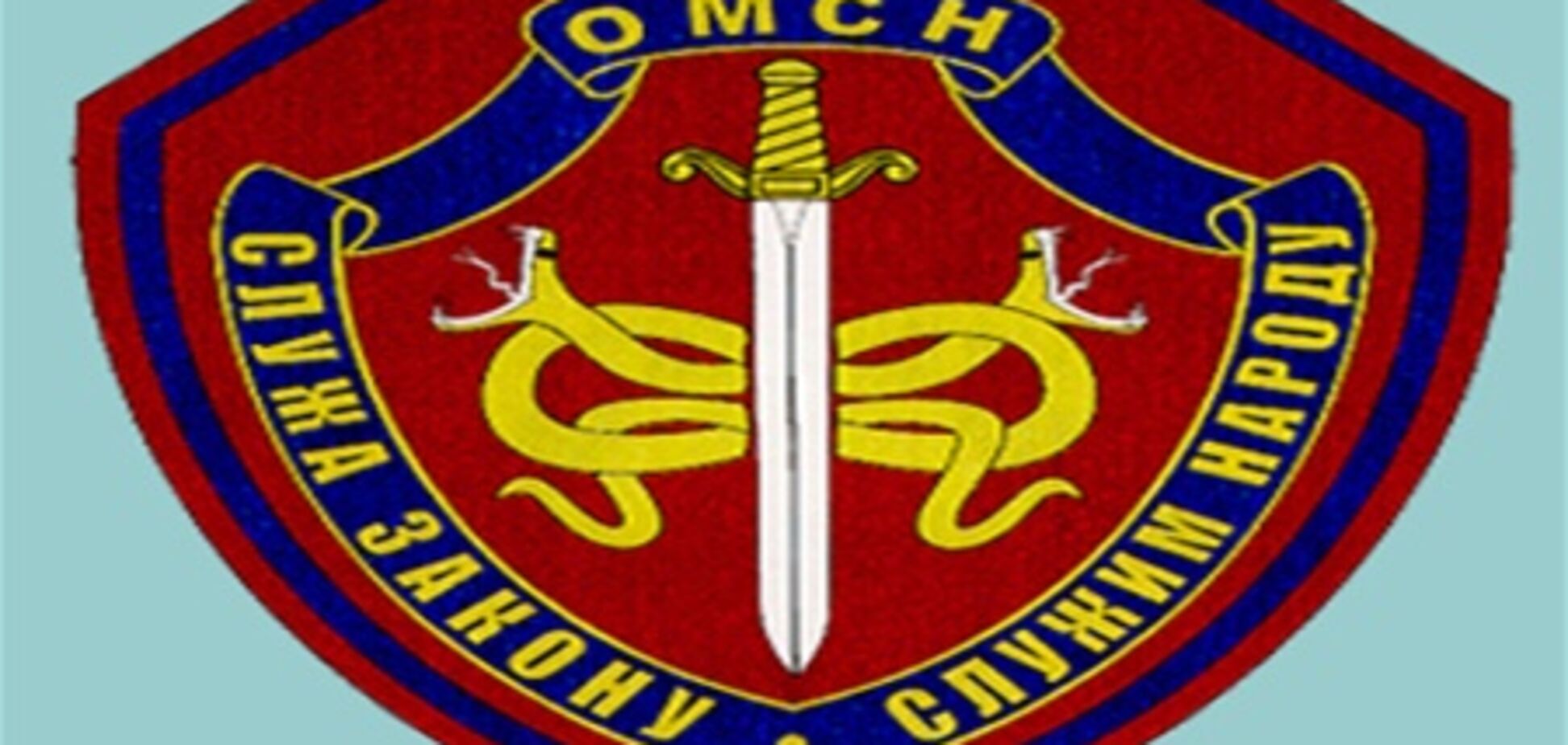 Нарукавный знак сотрудников отрядов милиции спецназа МВД России - копия знака солдатов SS