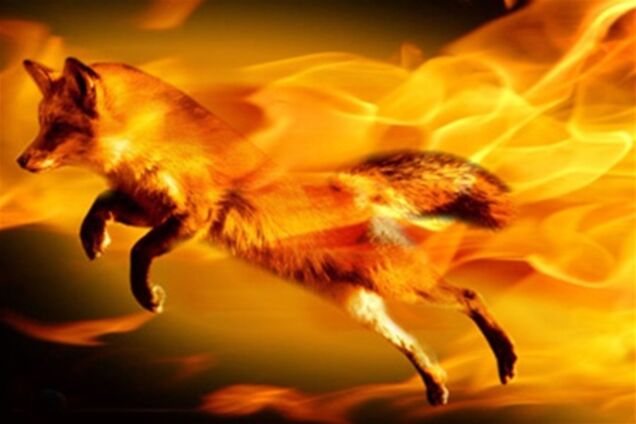 Firefox перестанет загружать память компьютера