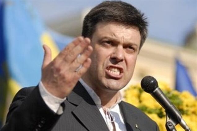 Тягнибок: Тимошенко все робить правильно. Ч.1