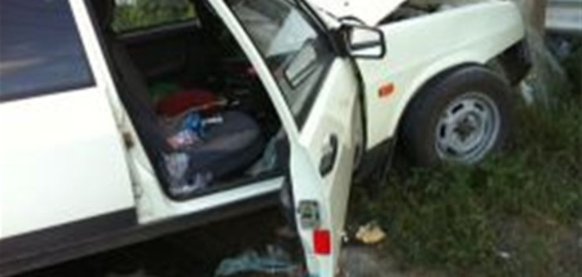 В Донецке водитель на ВАЗ-2109 врезался в столб из-за кота