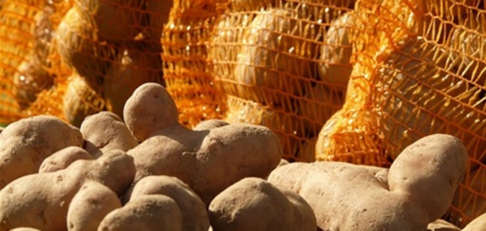 Украина сократила импорт овощей и картофеля на 38%