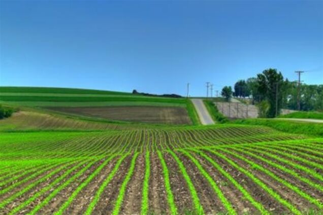 Упрощена процедура регистрации земельных участков