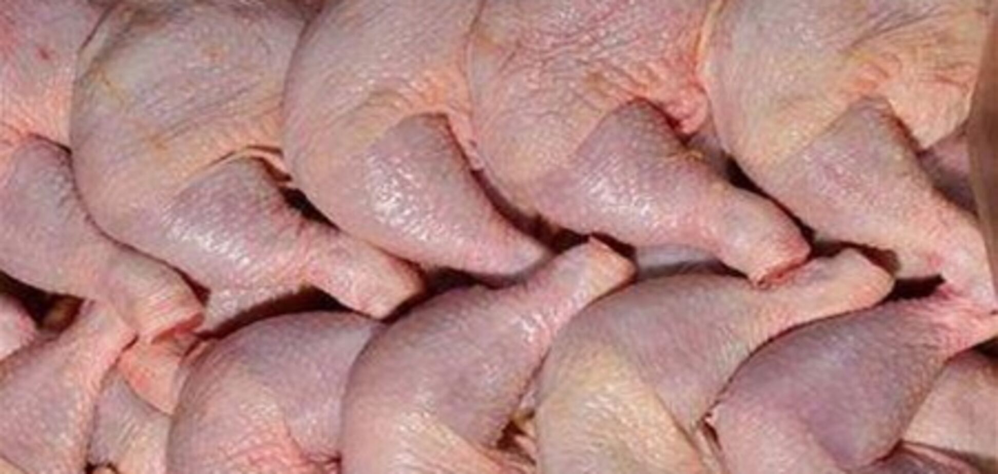 Українські птахівники не бояться 'м'ясної війни'