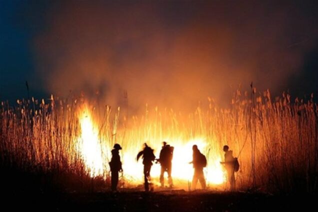 Часть Украины оказалась на грани чрезвычайной пожарной опасности