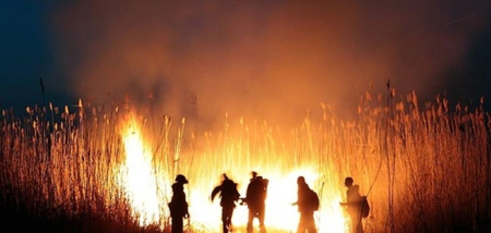 Часть Украины оказалась на грани чрезвычайной пожарной опасности