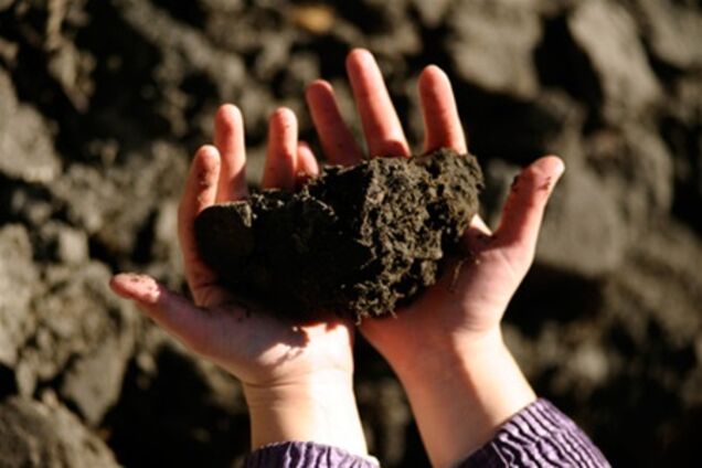 Менее 1% селян успели продать свои земельные паи до отмены моратория