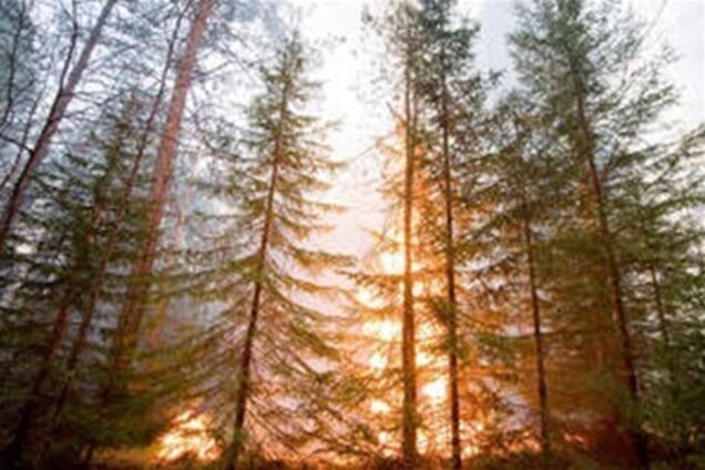 ЧП в России: 36 пожаров на площади, превышающей 5,7 тысячи гектаров