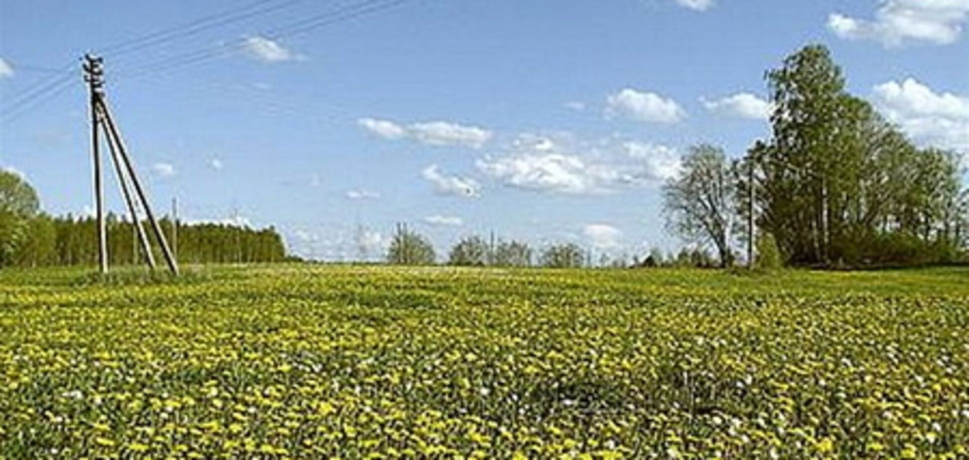 Продаж земель призведе до рейдерських атак - Семенюк-Самсоненко