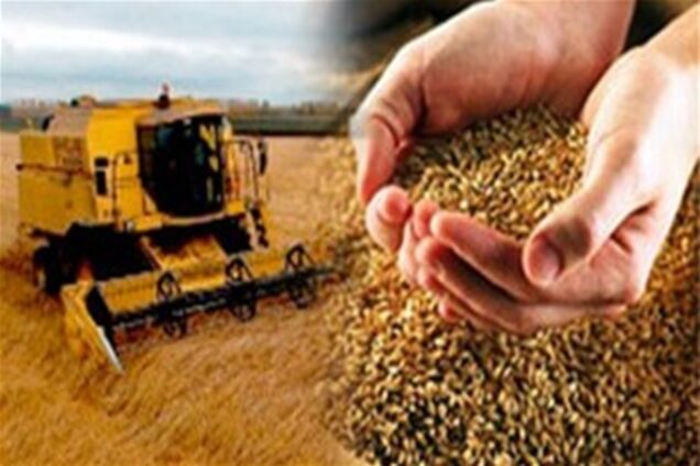 Янукович и Арбузов обсудили вопросы кредитования аграриев