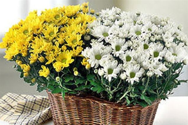 Шість аксесуарів для поліпшення енергетики будинку