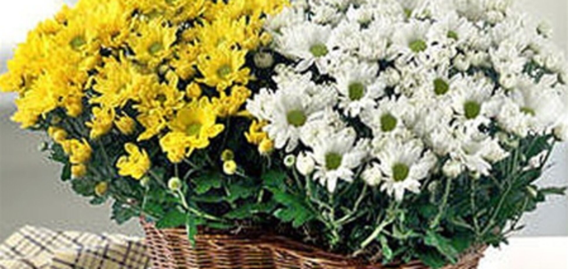 Шість аксесуарів для поліпшення енергетики будинку