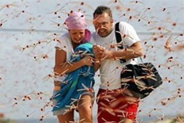 Саранча выживает туристов из Крыма