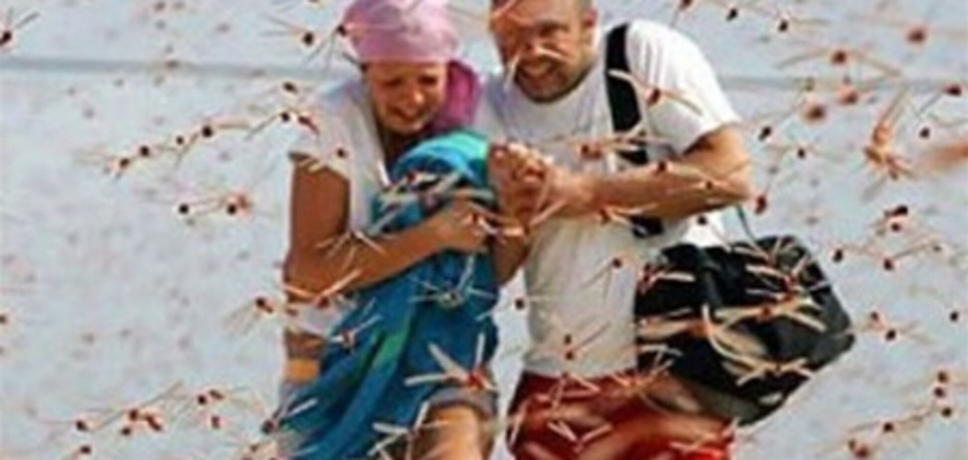 Саранча выживает туристов из Крыма