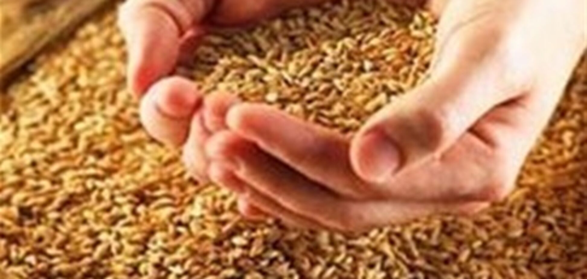 Украина намолотила 15,6 млн тонн зерна