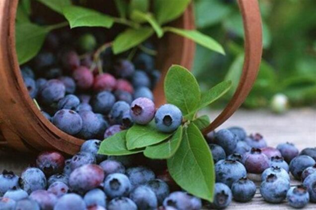 Для жителей Киева ягоды стали дорогой необходимостью