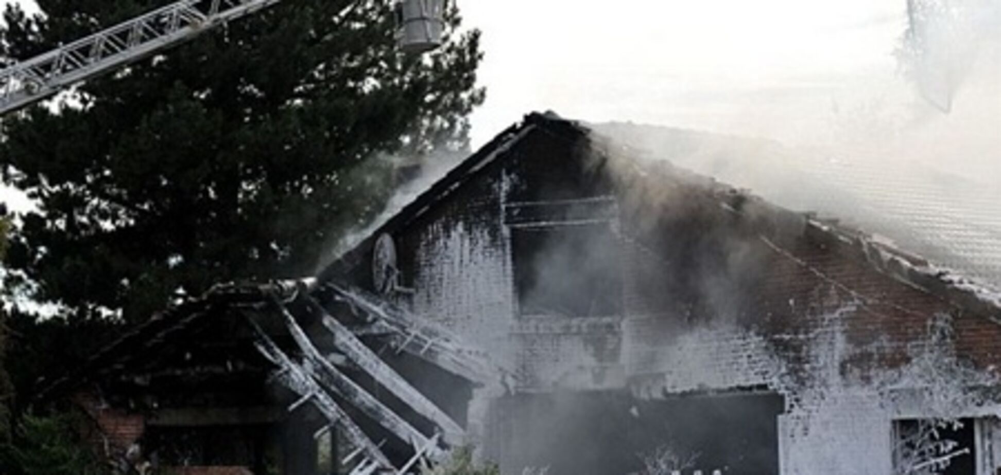 Ображений швейцарець протаранив літаком будинок матері