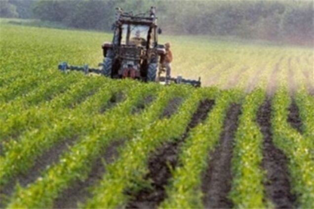 Землю разрешат скупать через подставных лиц