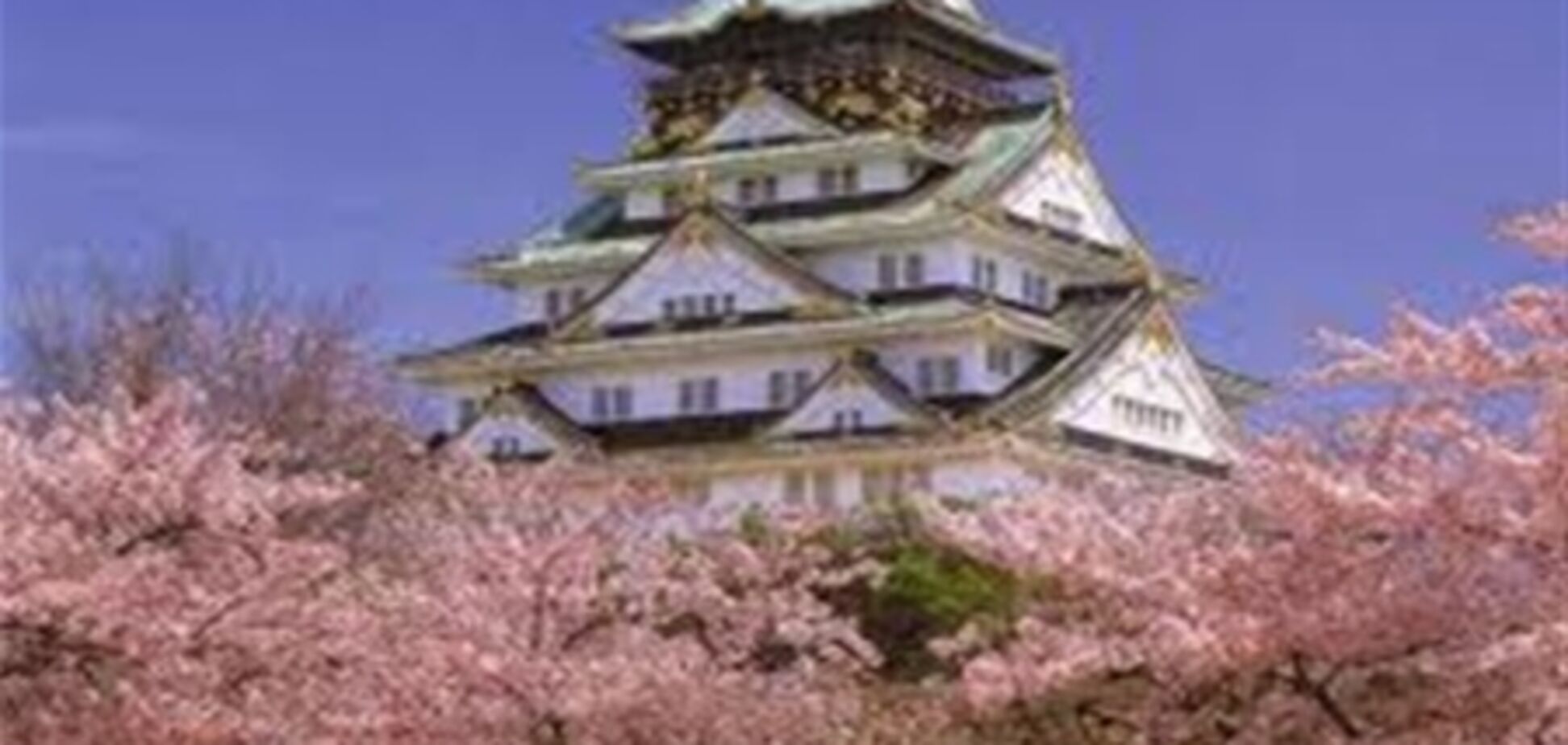 Японцы приняли новый бюджет и ужаснулись ему