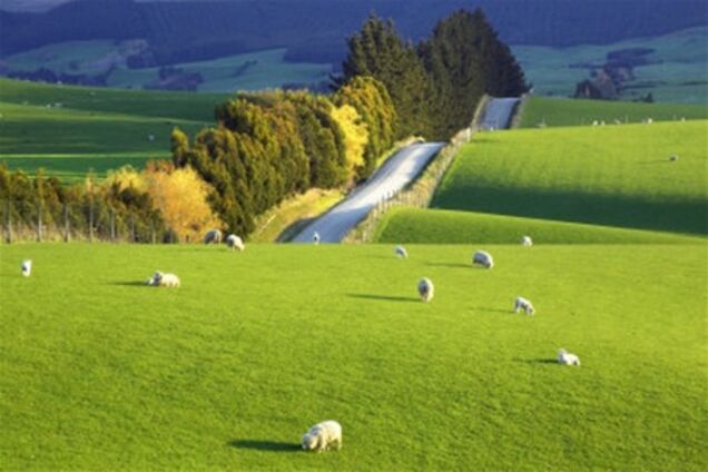 В Киевской области выдали ненормальное количество разрешений на землю