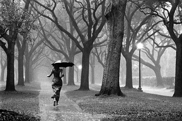 На выходных Украину зальет дождями