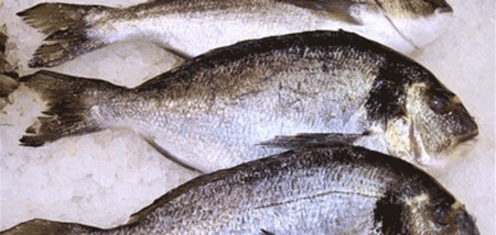 На Харківщині - мор риби