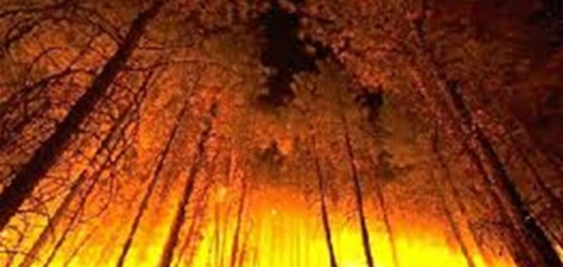 Українець поплатиться за згорілий в Росії ліс