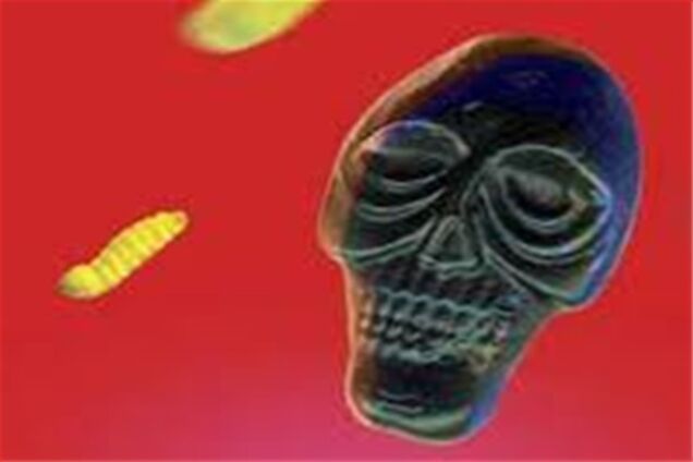 Европе угрожает враг, опаснее «Аль-Каиды»