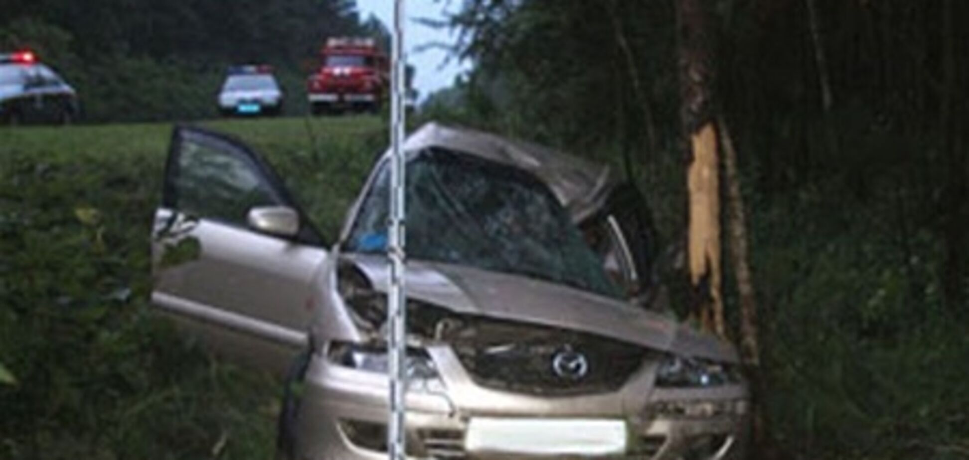 ДТП на Киевщине - один человек погиб и двое травмированы