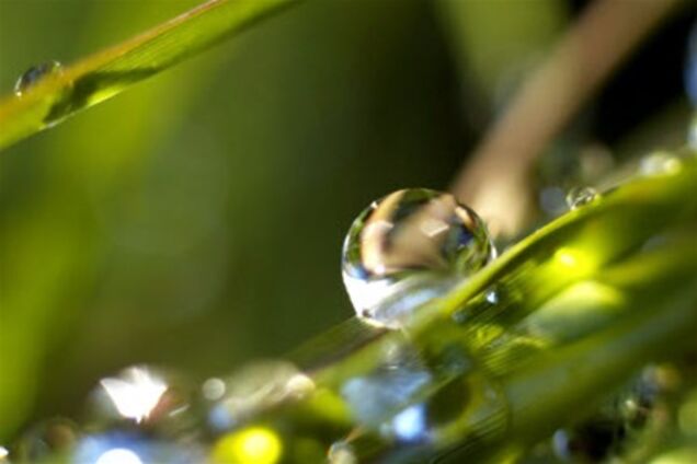 Синоптики: до конца лета погода будет очень изменчивой