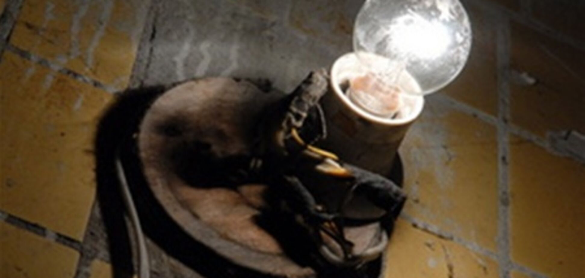 В Украине из-за непогоды обесточены 65 населенных пунктов