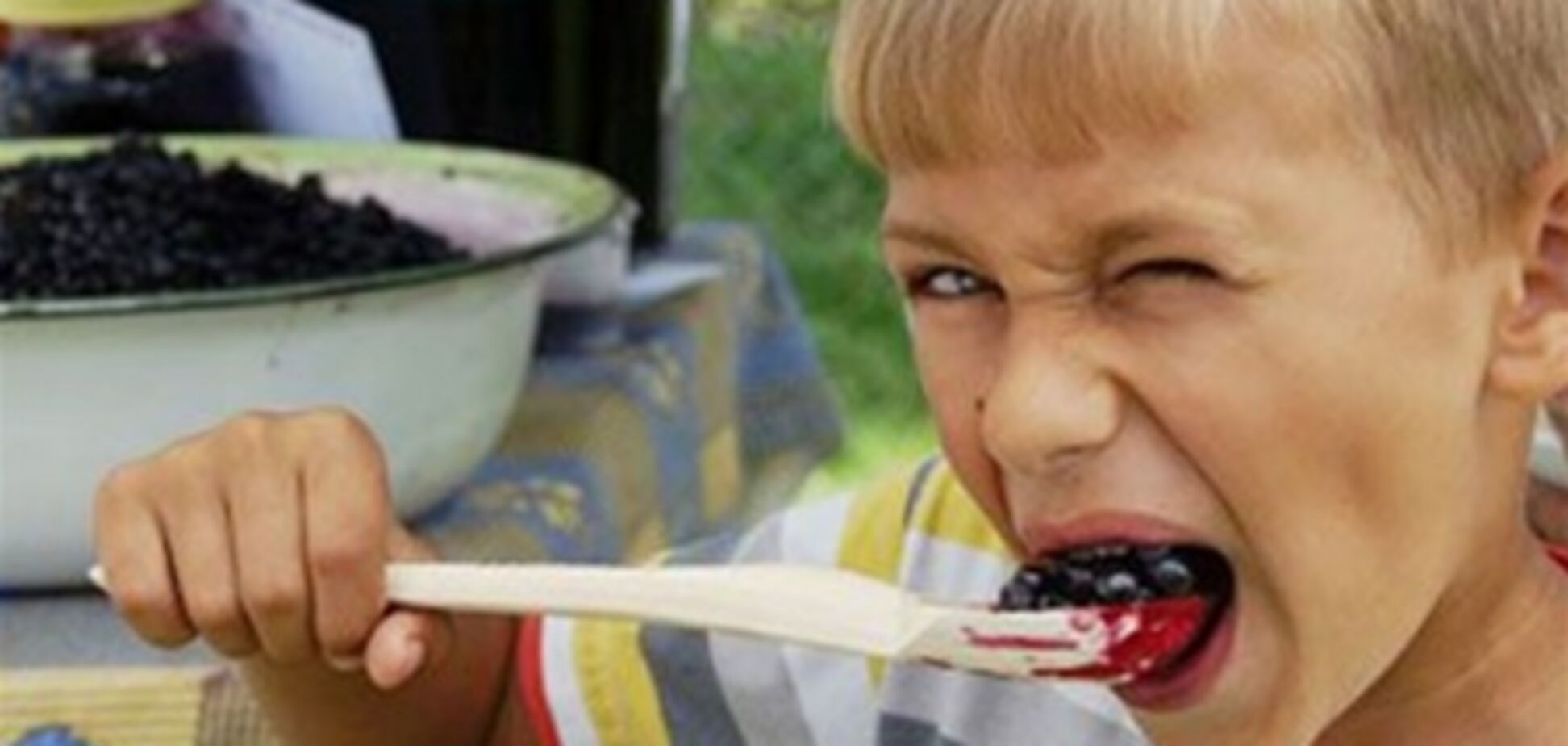 Дожди оставят Украину без ягод