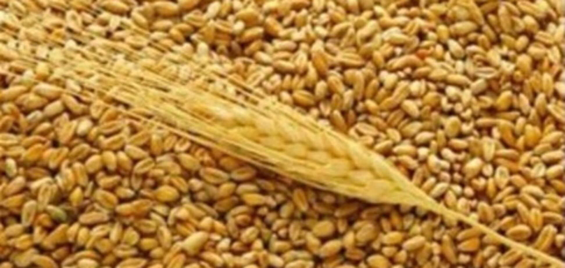 Селяни нарешті отримають реальний зиск від землі