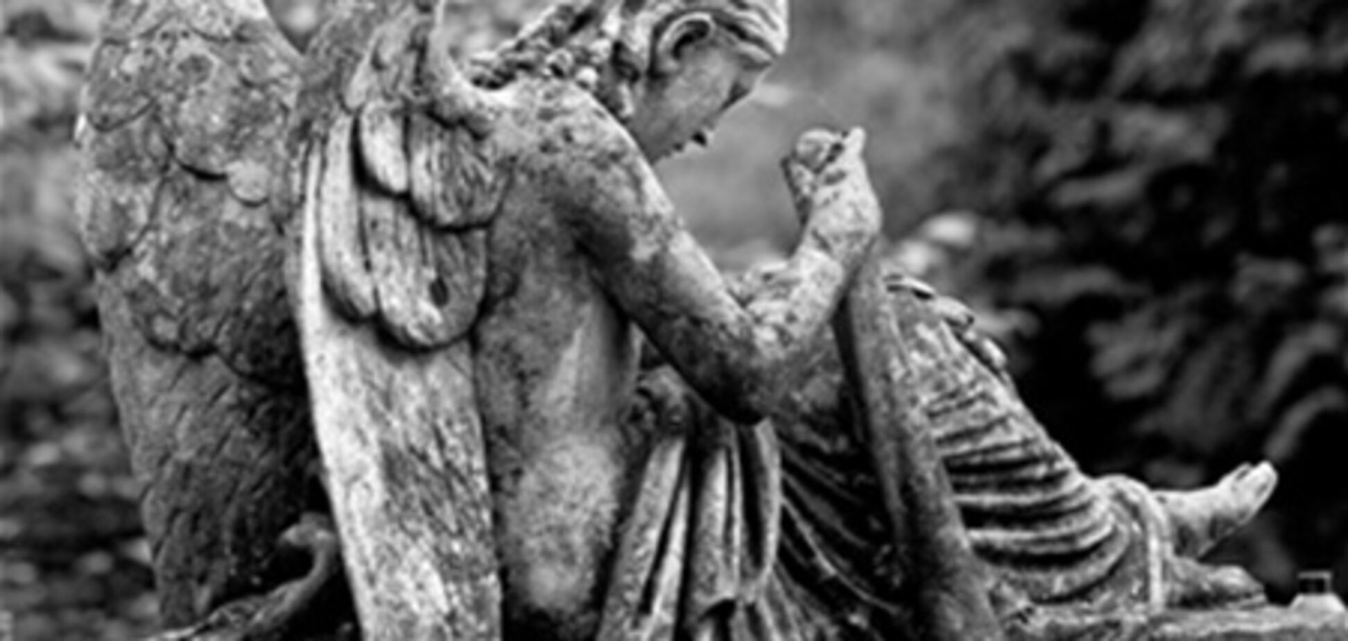 Львов: Лычаковское кладбище