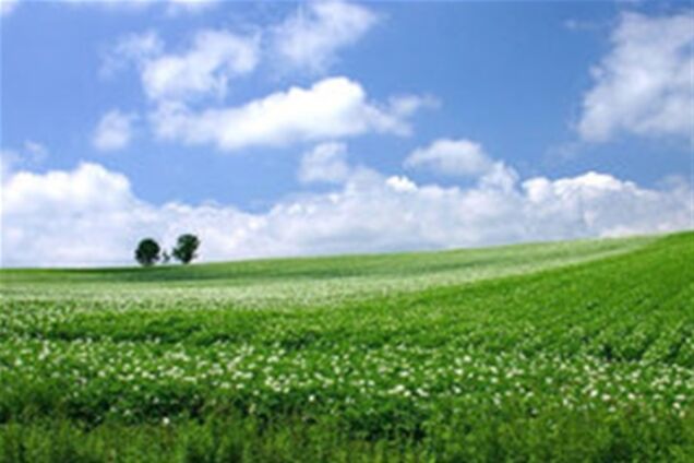 Под Киевом подешевела земля