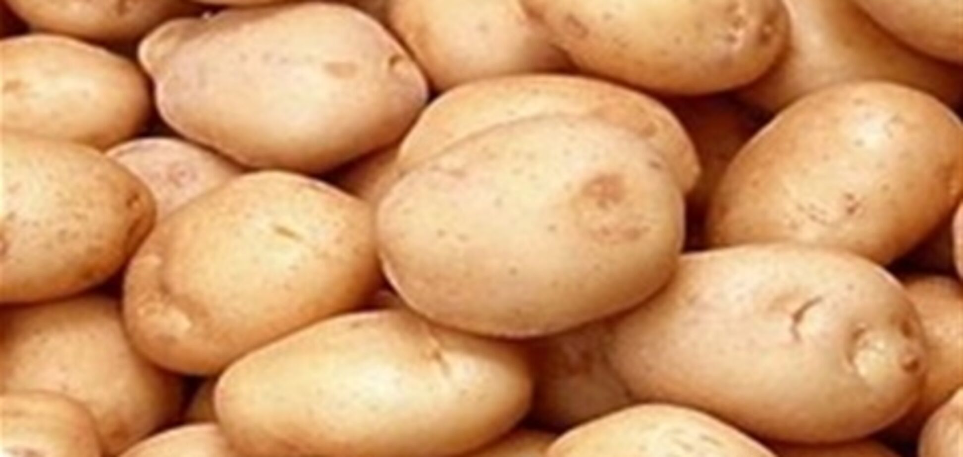 В Украине - дефицит картошки