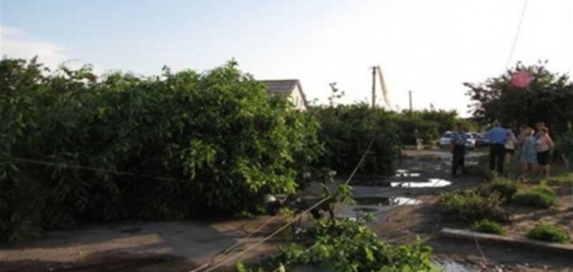 В Запорожской области считают убытки от урагана