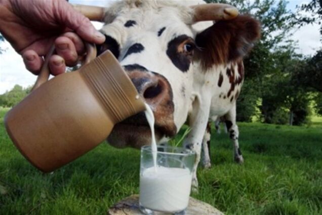 Україна може зіткнутися з дефіцитом молока