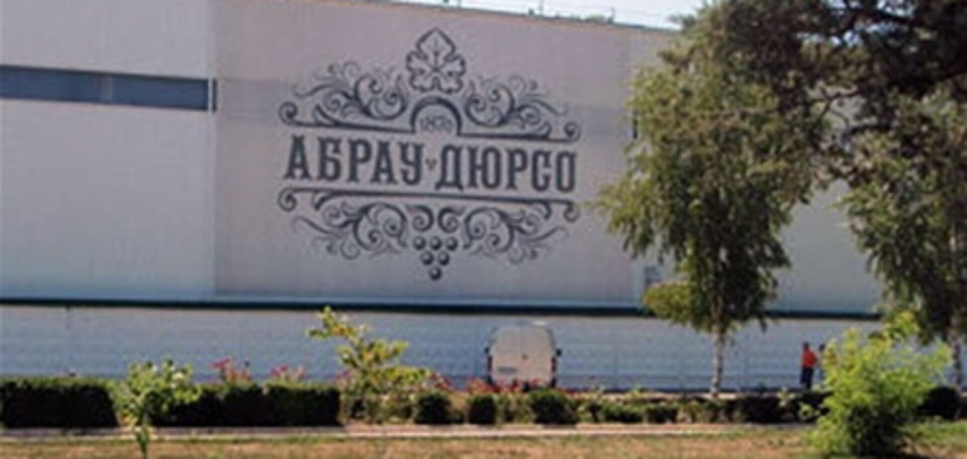 Владелец 'Абрау-Дюрсо' купил виноградники 'дворца Путина'