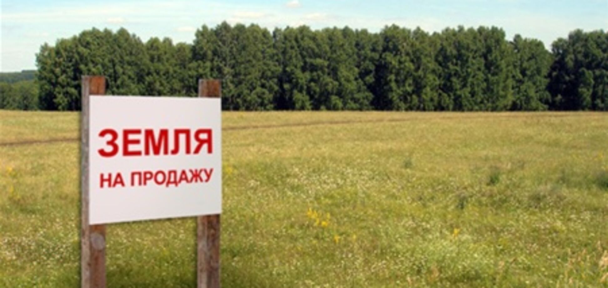 Продаж землі може спричинити дефіцит пшениці та кукурудзи - експерт