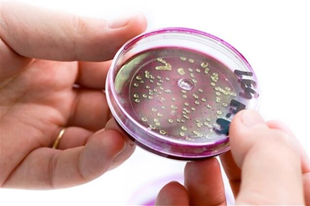 Кишкова паличка E.coli передається від людини до людини