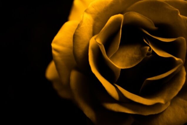 На Русановке орудует маньяк: люди в панике