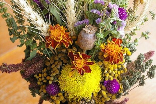 Український пучок – хатній спаситель