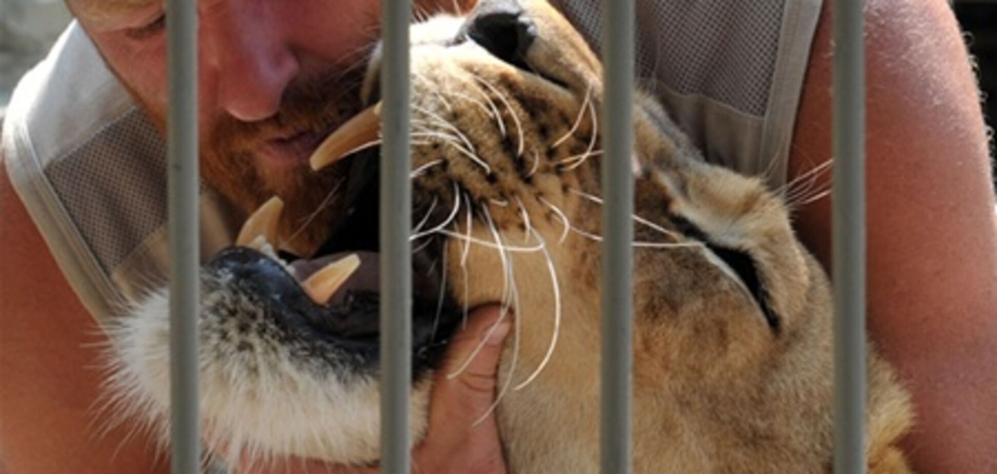 Владелец зоопарка, живущий в клетке со львицей, принял у нее роды
