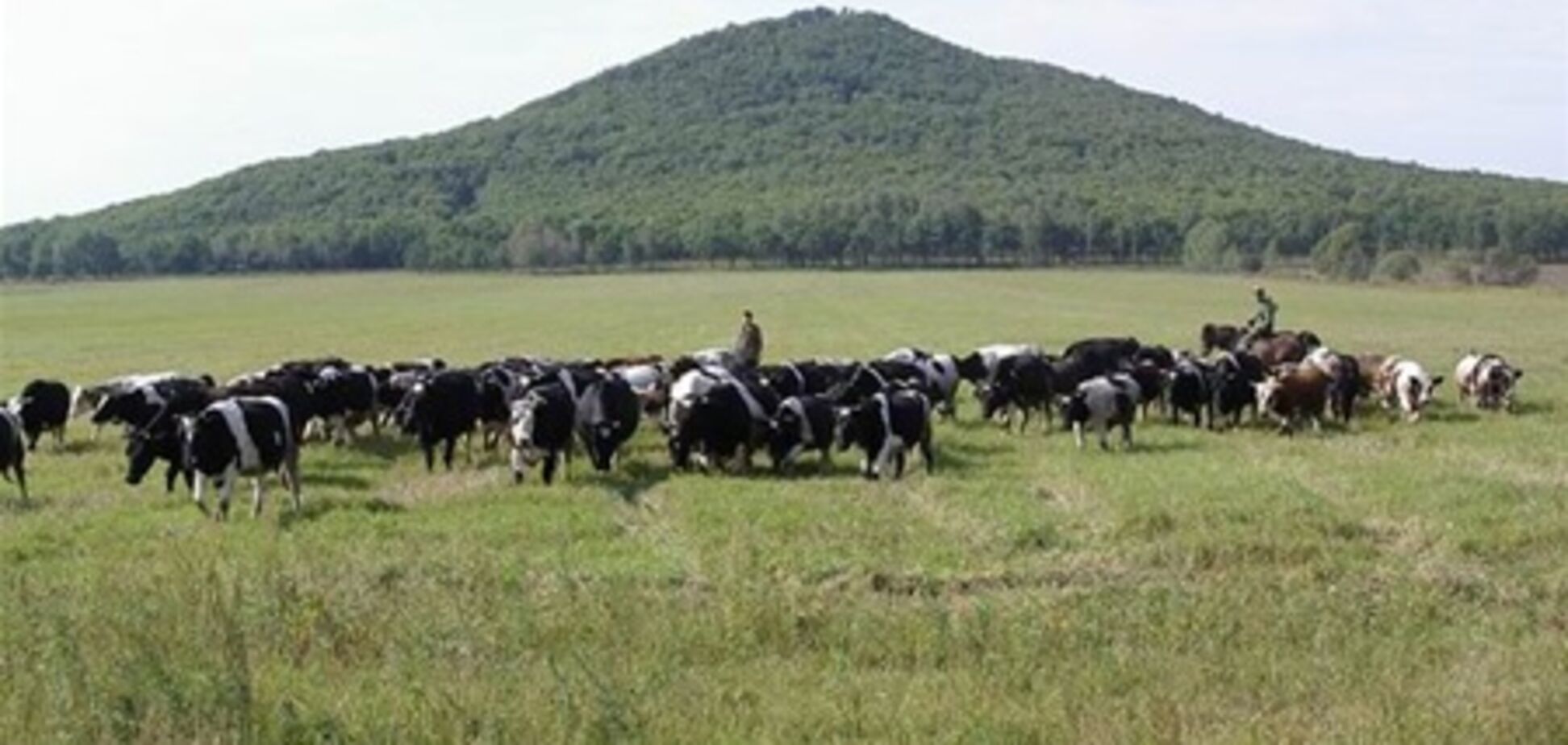 В Украине за 7 месяцев 2011 объем с/х производства увеличился на 9,1%