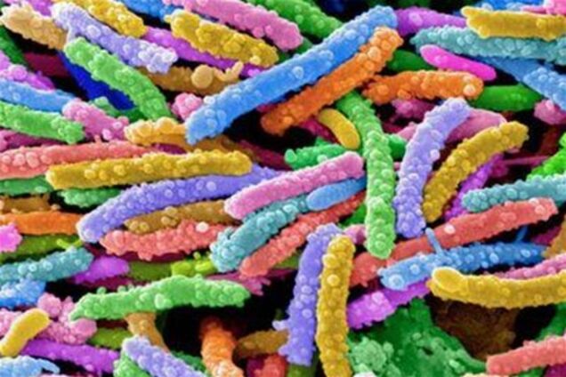 Холера в Маріуполі скосила ще двох людей