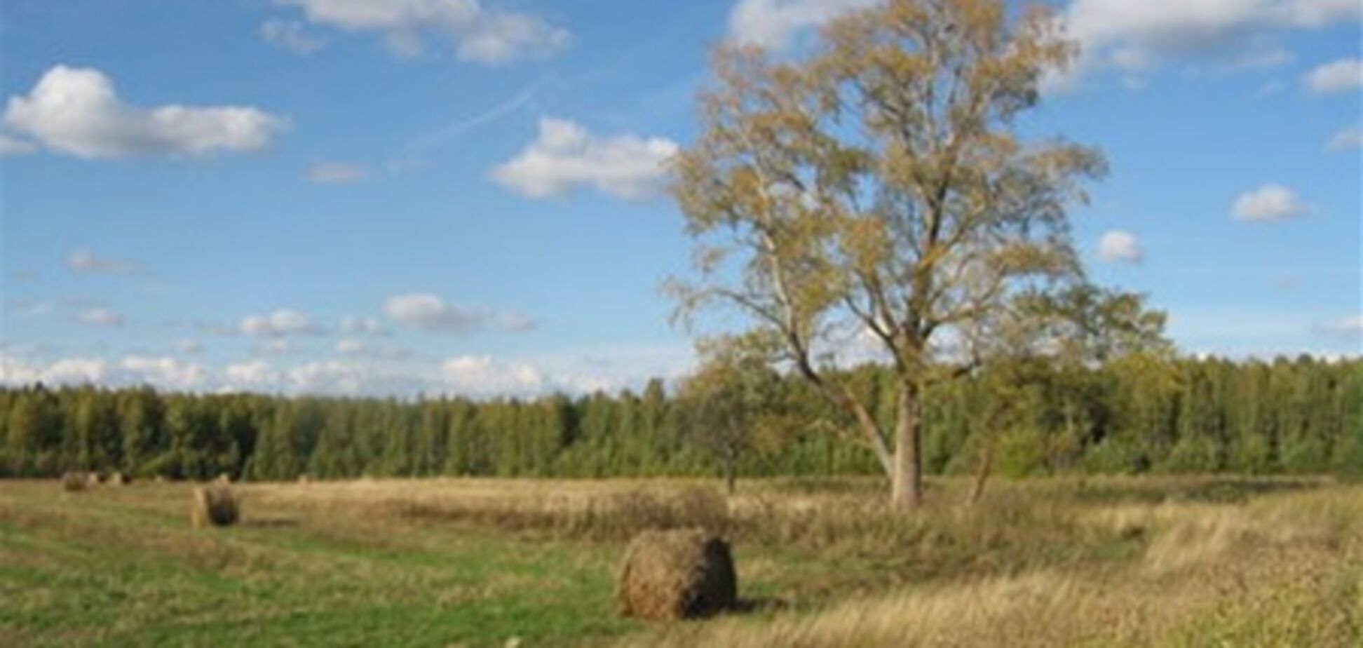 Фермери побоюються, що землю скуповуватимуть олігархи