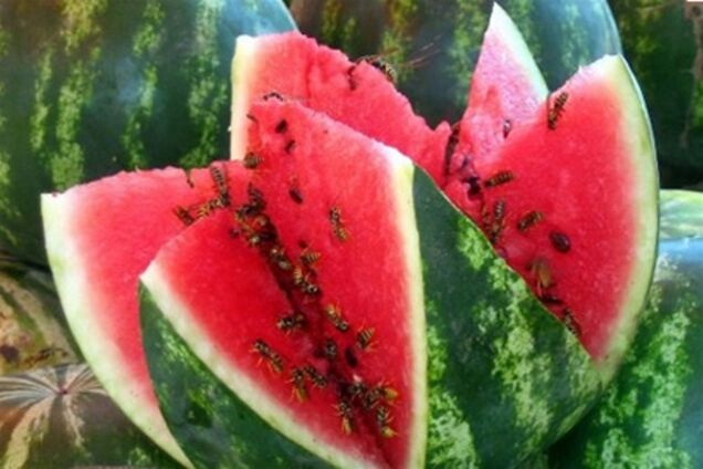 Жители Киева массово травятся арбузами