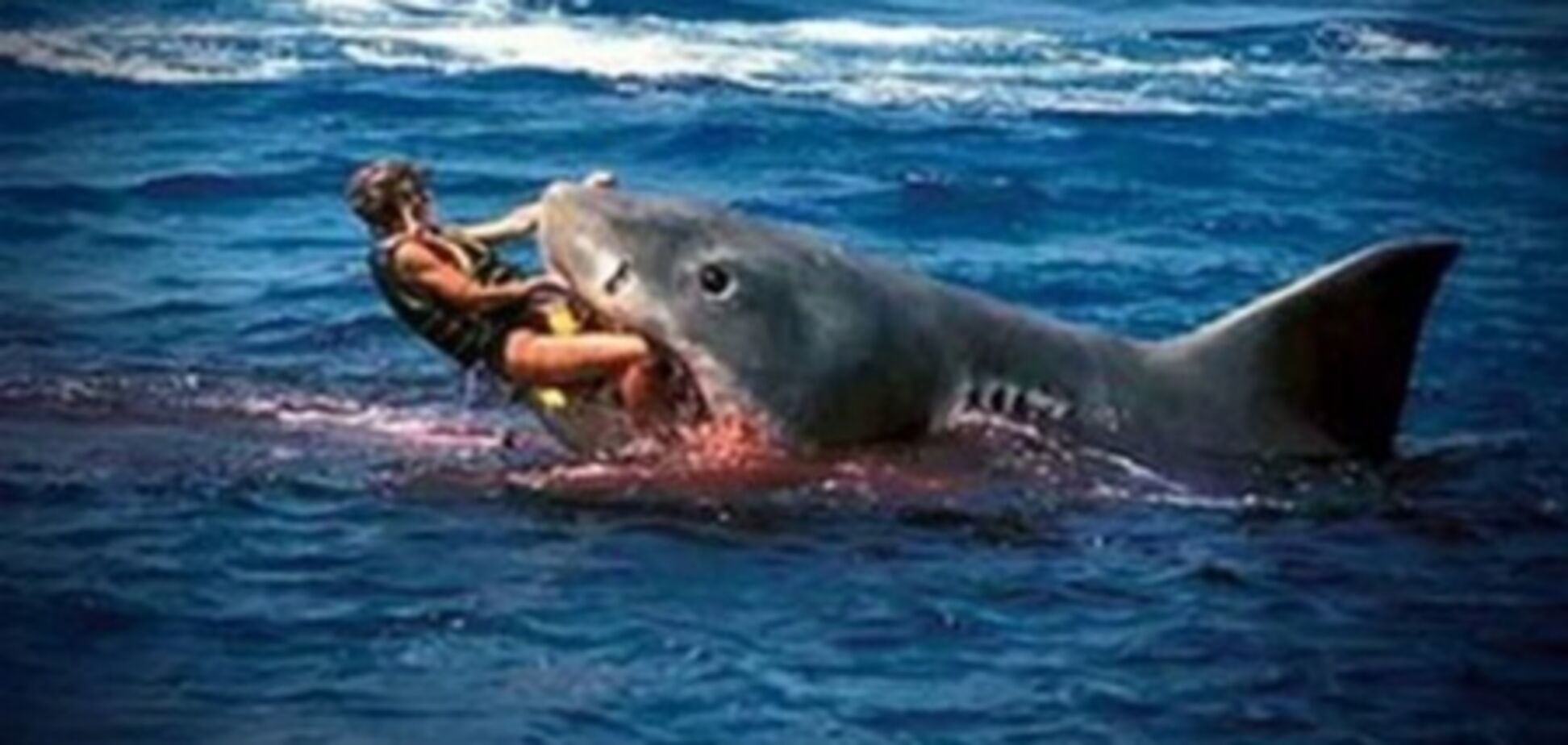 Российские власти решили сэкономить на поимке акулы в Приморье