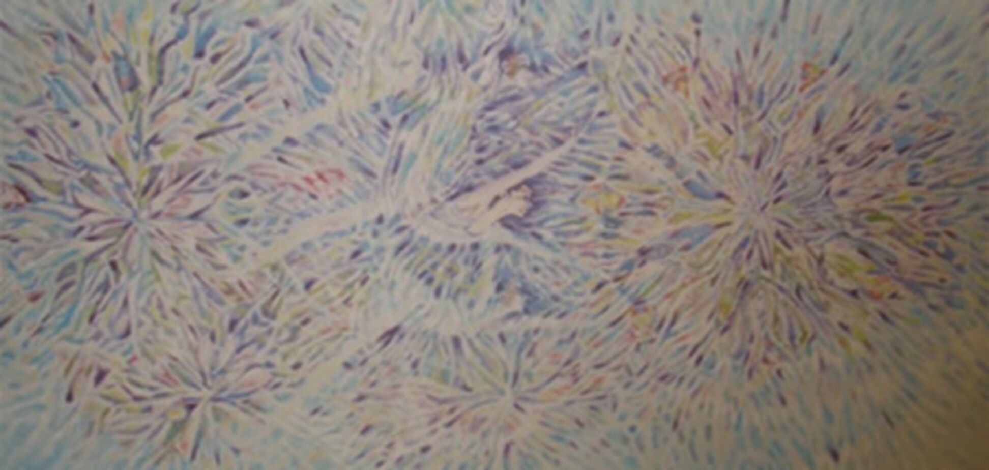 Одесі покажуть 'Еволюцію'